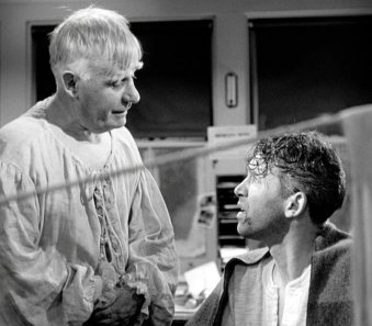 quebello6_ampliacion